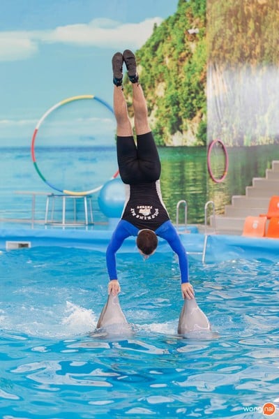 บรรยากาศ Dolphins Bay Phuket