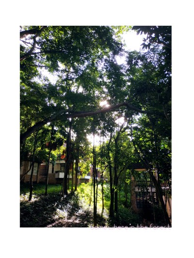 บริเวณโดยรอบ