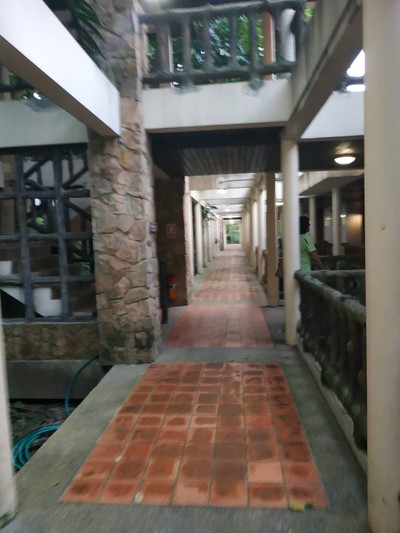 บริเวณโดยรอบ