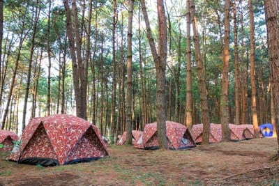 บรรยากาศ อุทยานแห่งชาติภูหินร่องกล้า