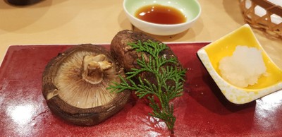 เห็ดหอมย่าง