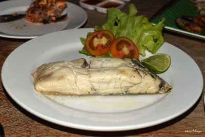 ปลากระพง