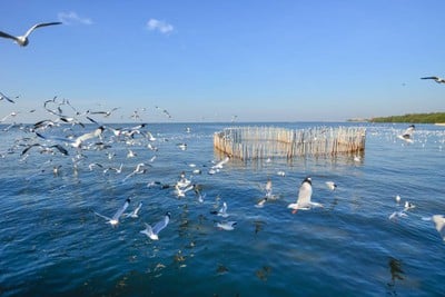 บรรยากาศ สถานตากอากาศบางปู