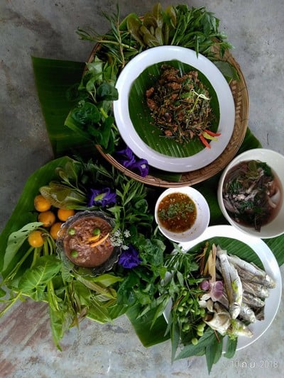 อาหารพื้นบ้าน บ้านทุ่งหยีเพ็ง "น้ำพริกลูกอึกนึกแม่ " อาหารพื้นบ้าน บ้านทุ่งหยีเพ็ง "น้ำพริกลูกอึกนึกแม่ "