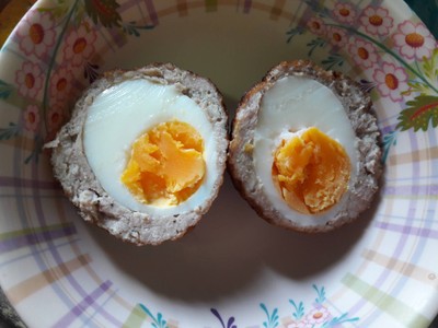 ไข่ไดโนเสาร์