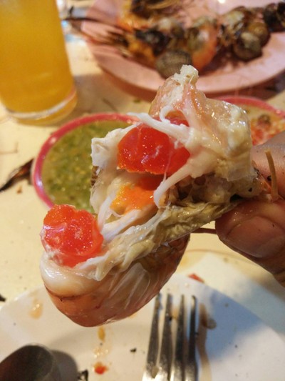 กุ้ง