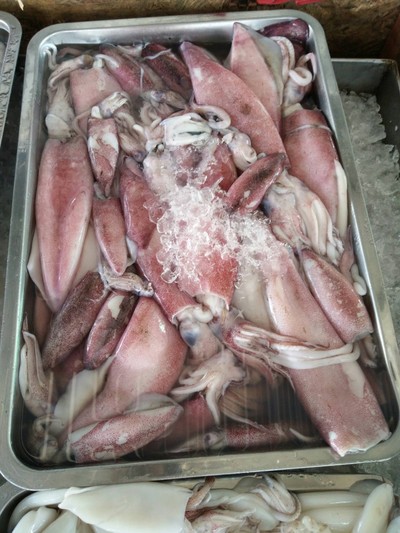 หมึก