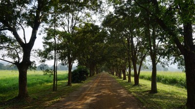 บรรยากาศ