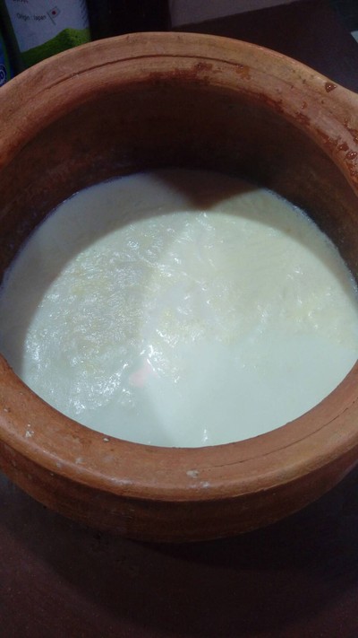 นมสดหม้อดิน