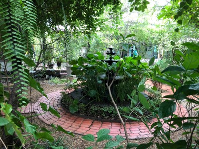 บรรยากาศ The 66 Cottage The 66 Cottage