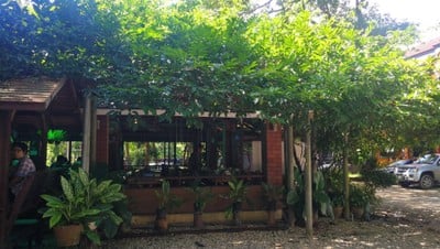 ครัวน้ำยาปลาเผา