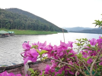 เขื่อนแม่งัดสมบูรณ์ชล