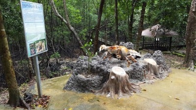 บรรยากาศ ศูนย์วิจัยป่าชายเลนหงาว