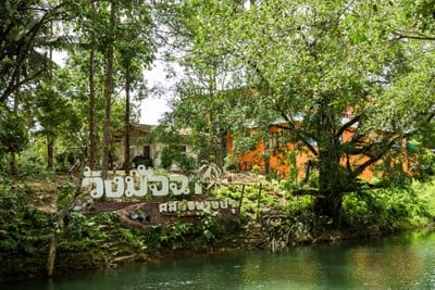 บรรยากาศ อุทยานวังมัจฉา