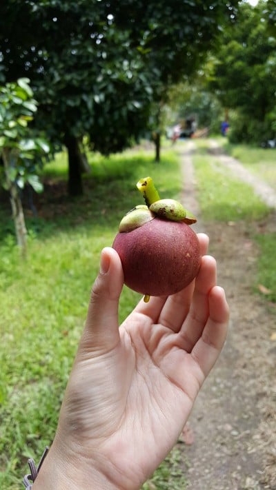 บรรยากาศ บ้านในวง