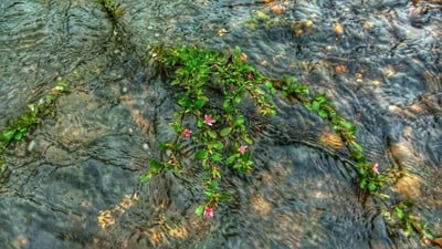 บรรยากาศ จุดล่องแพ แลชายแดน ปากจั่น