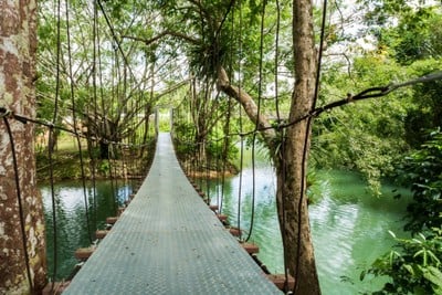 บรรยากาศ อุทยานวังมัจฉา