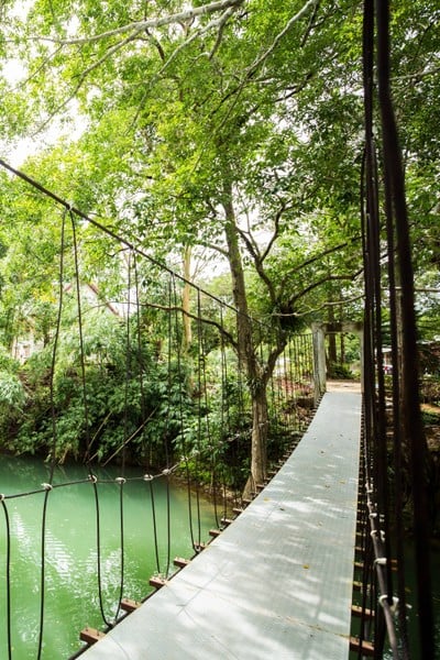 บรรยากาศ อุทยานวังมัจฉา