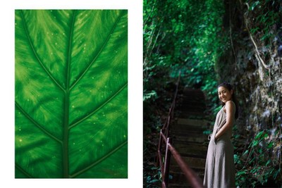 กิน-ล่อง-ท่องเที่ยวพะเยา 2 วัน 1 คืน