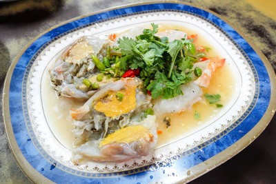 กุ้งเต้น