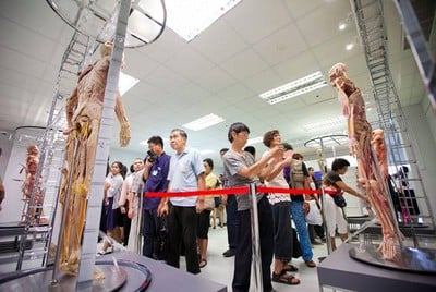 บรรยากาศ พิพิธภัณฑ์ร่างกายมนุษย์