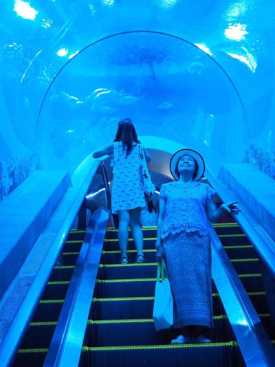 สถานแสดงพันธุ์สัตว์น้ำ