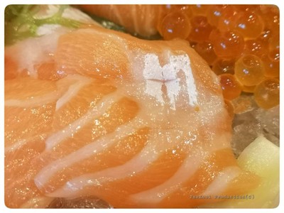 Salmon