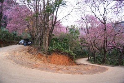 สถานีวิจัยเกษตรที่สูงขุนช่างเคี่ยน
