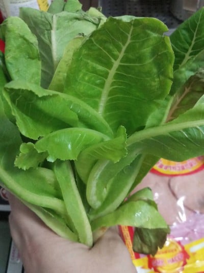 วิธีทำ สลัด เจ
salad J