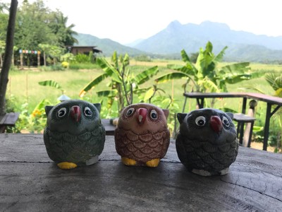 อื่นๆ
