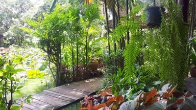 บรรยากาศ สวนทิพย์