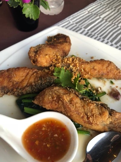 Pizza by Eat Sight Story