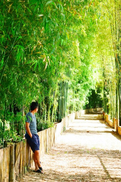 บริเวณโดยรอบ