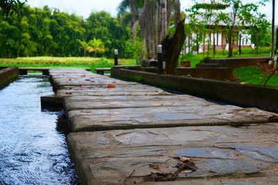 บริเวณโดยรอบ