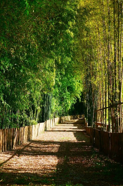 บริเวณโดยรอบ