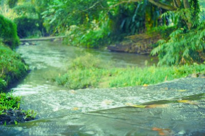 บริเวณโดยรอบ