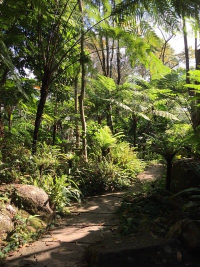 น้ำตกสิริภูมิ