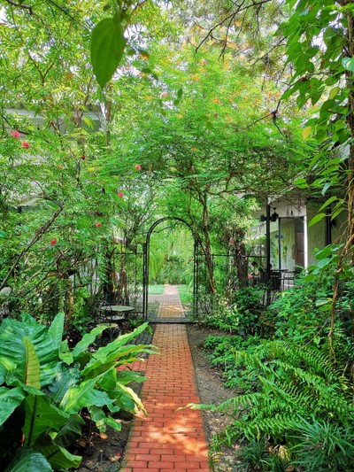 บรรยากาศ The 66 Cottage The 66 Cottage