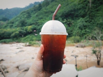 Cafe In Wild