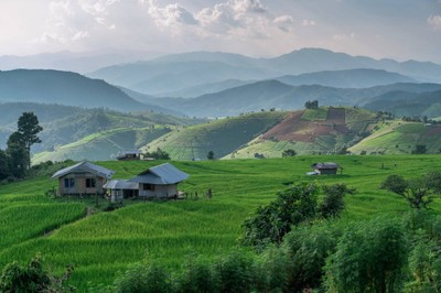 บ้านป่าบงเปียง