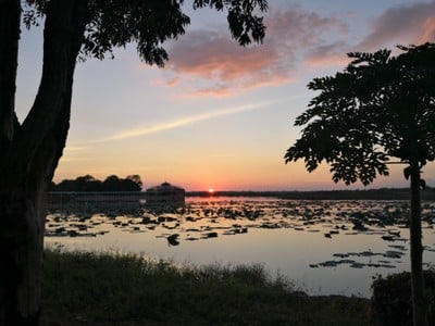 ไม่มี ไม่มี