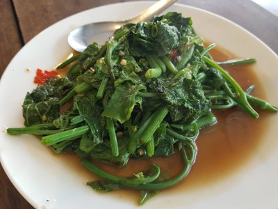 ผักยอดฟักแม้ว 60฿