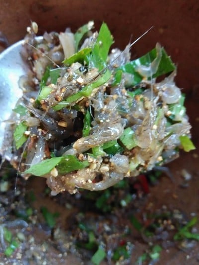 วิธีทำ ก้อยกุ้ง ตำกุ้ง วิธีทำ ก้อยกุ้ง ตำกุ้ง