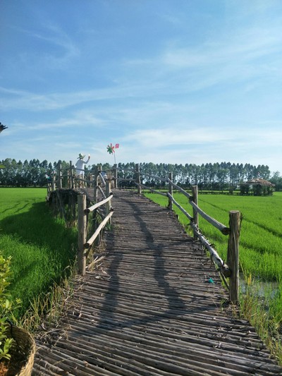 บรรยากาศ