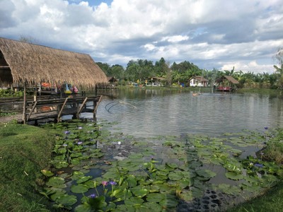 บรรยากาศ