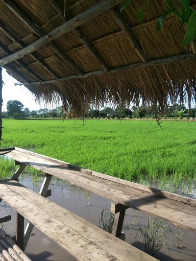 บรรยากาศ