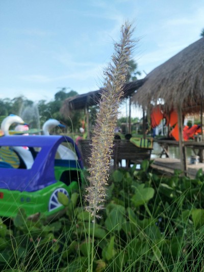 บรรยากาศ