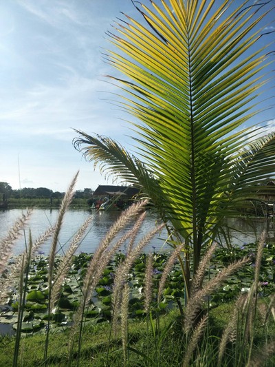 บรรยากาศ