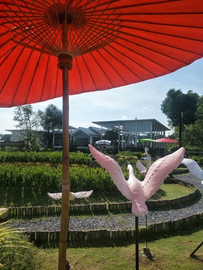บรรยากาศ