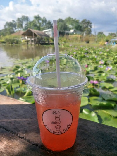 STRAWBERRY SODA